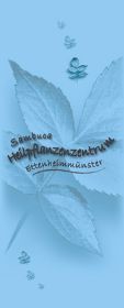 PR fuer Heilpflanzenzentrum Ettenheimmuenster